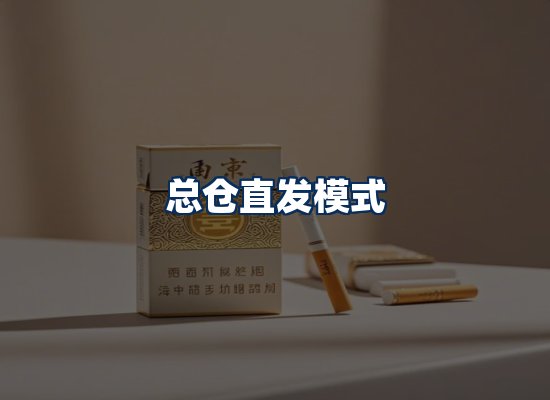 专业团队办公环境